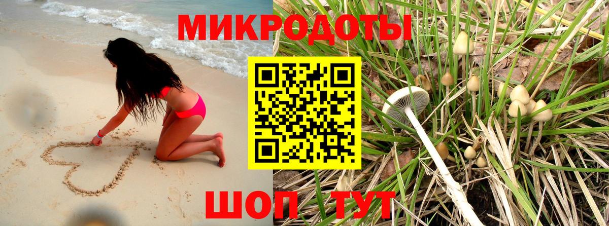 Псилоцибиновые грибы Psilocybe Гудермес