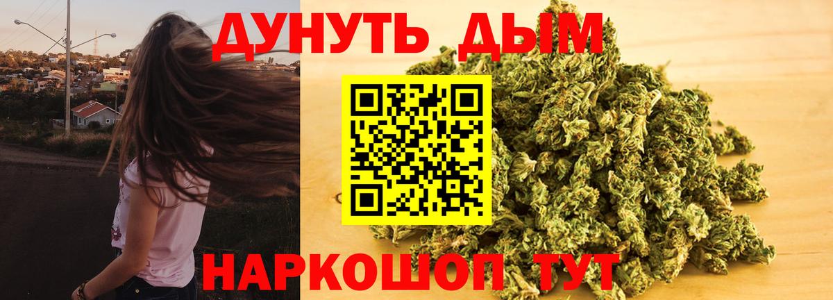 Бошки марихуана планчик  Канабис гибрид  Каннабис тримм  Вход с VPN  Марихуана SATIVA & INDICA  Гудермес 